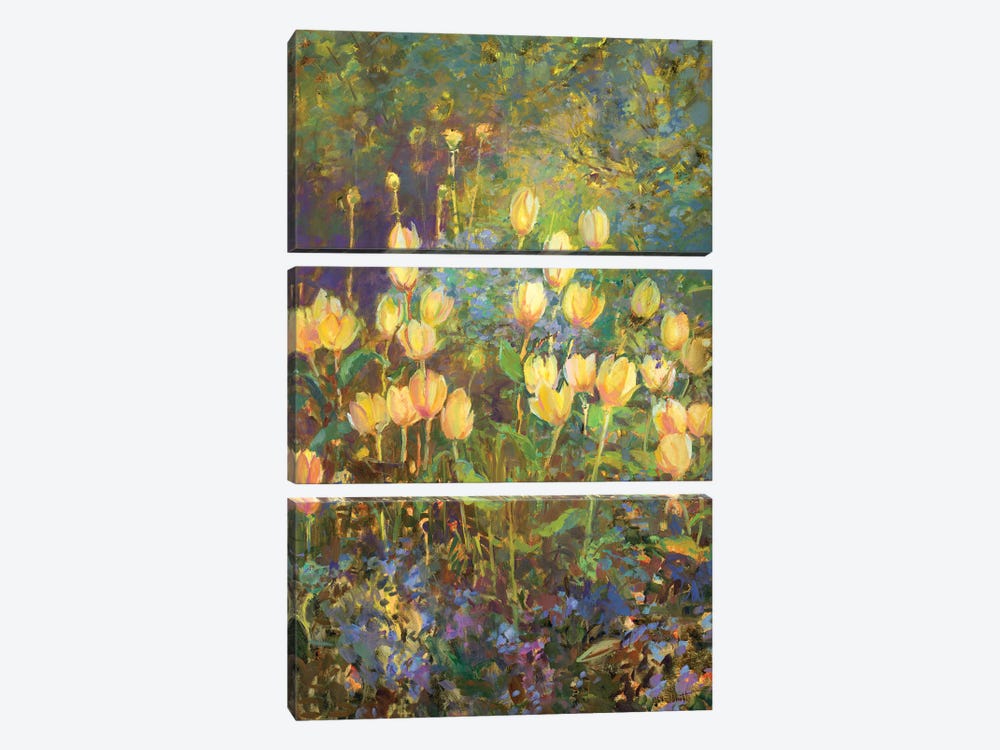 Tulips by Catherine M. Elliott 3-piece Canvas Art Print
