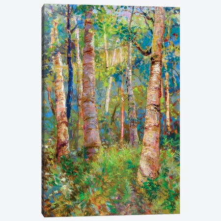 Birch Grove Canvas Print #CEI2} by Catherine M. Elliott Art Print