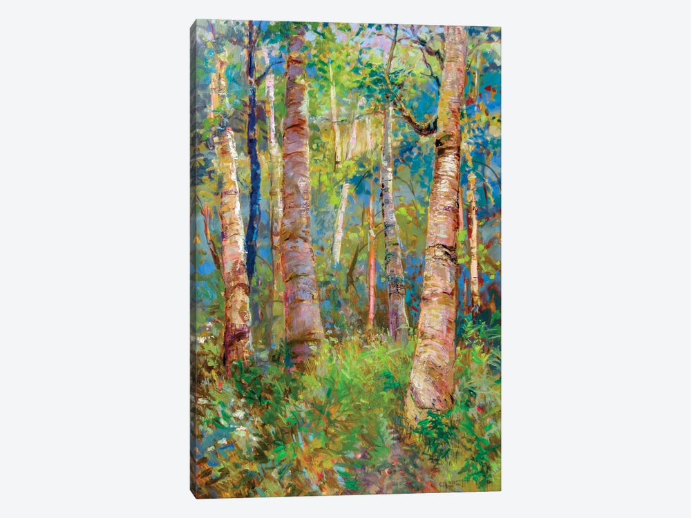 Birch Grove by Catherine M. Elliott 1-piece Canvas Art