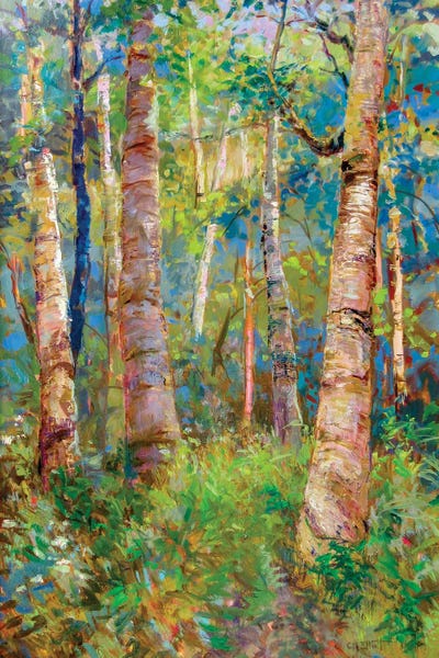 Birch Trees: Birch Grove by Catherine M. Elliott