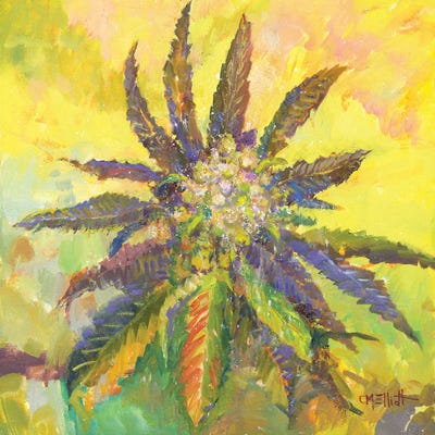 Willie Weed by Catherine M. Elliott art print