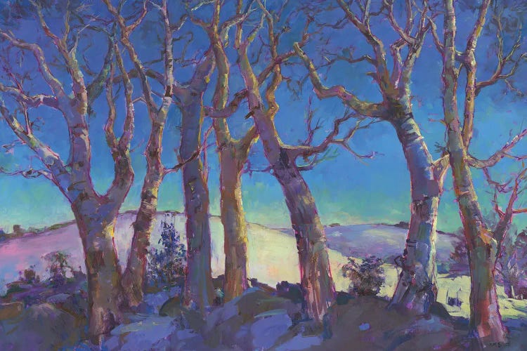 Winter Trees by Catherine M. Elliott wall art