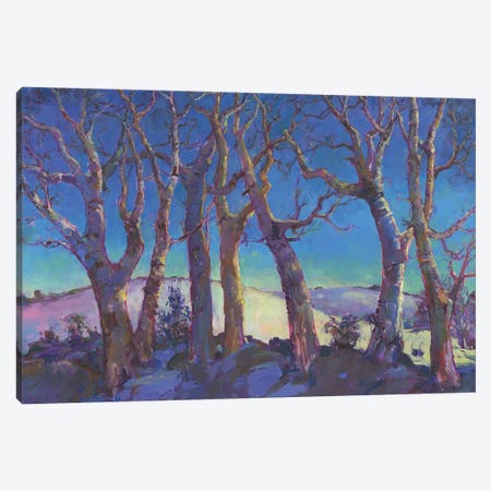 Winter Trees Canvas Print #CEI31} by Catherine M. Elliott Canvas Print
