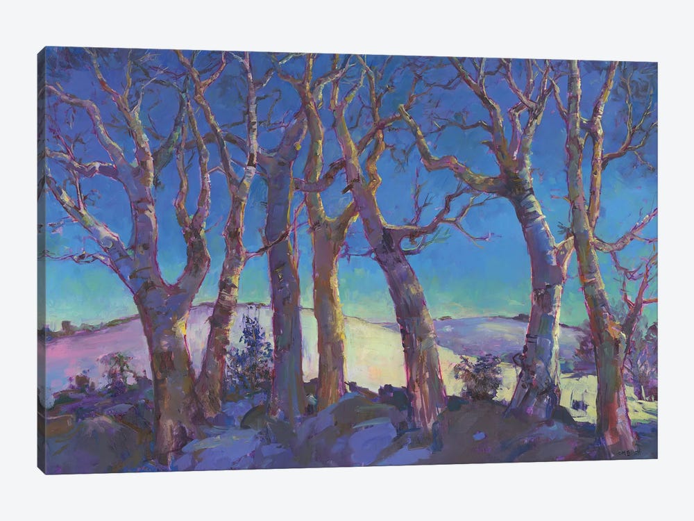 Winter Trees by Catherine M. Elliott 1-piece Art Print