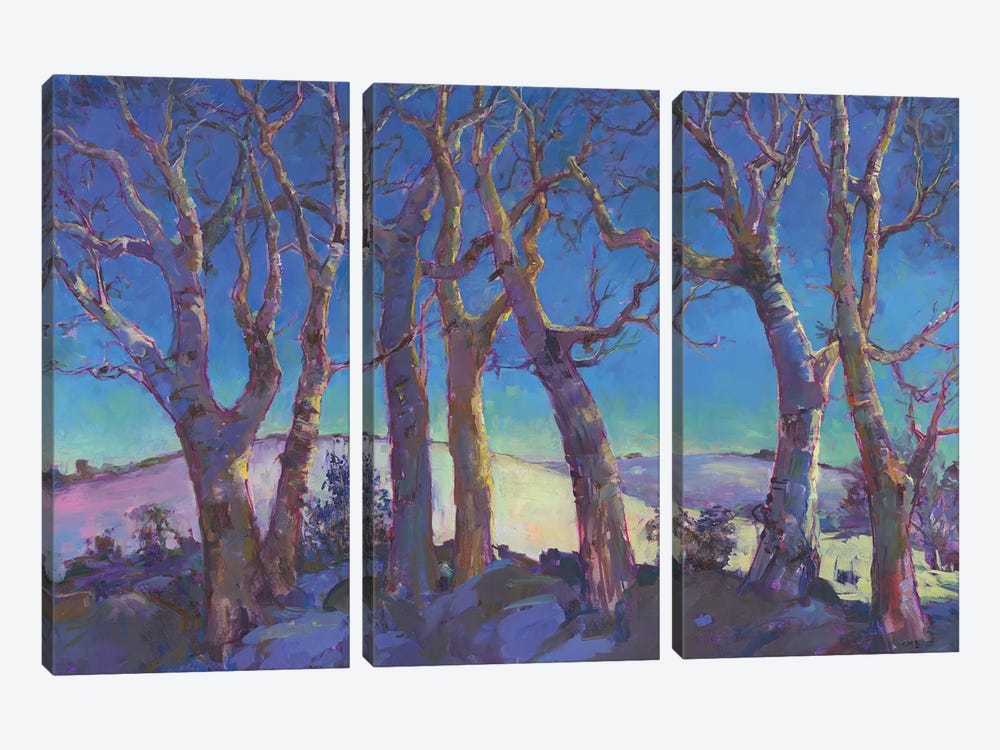 Winter Trees by Catherine M. Elliott 3-piece Canvas Art Print