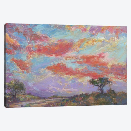Nantucket Sunset Canvas Print #CEI36} by Catherine M. Elliott Canvas Artwork