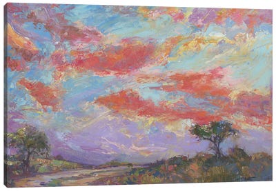 Nantucket Sunset Canvas Art Print - Catherine M. Elliott