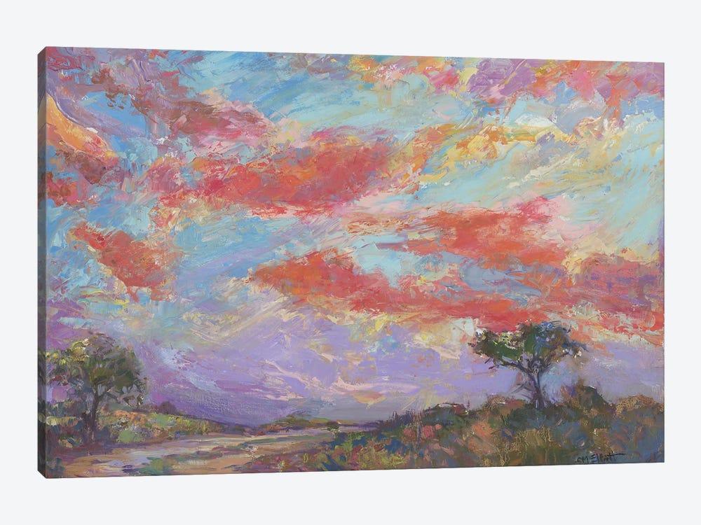 Nantucket Sunset by Catherine M. Elliott 1-piece Canvas Artwork