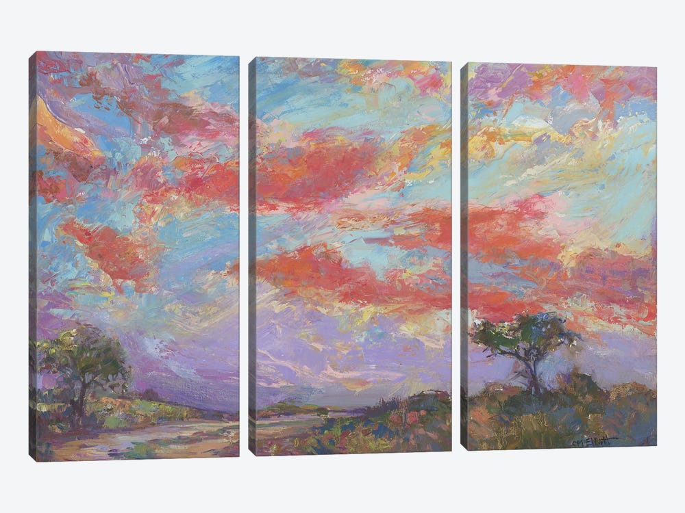 Nantucket Sunset by Catherine M. Elliott 3-piece Canvas Artwork
