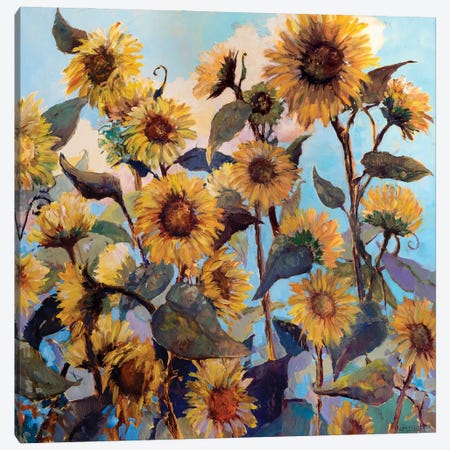 Sunflower Daze Canvas Print #CEI39} by Catherine M. Elliott Canvas Print