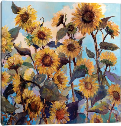 Sunflower Daze Canvas Art Print - Catherine M. Elliott