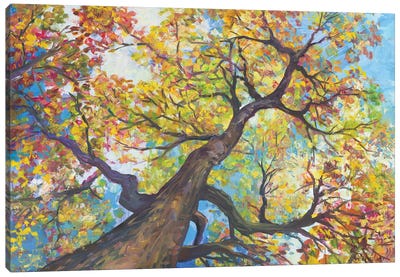 Tree House Canvas Art Print - Autumn & Thanksgiving