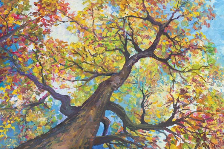 Tree House by Catherine M. Elliott wall art
