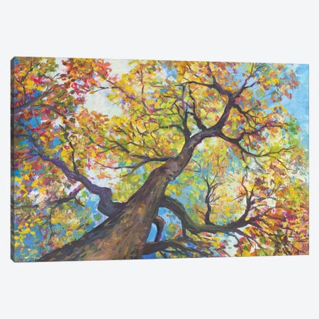 Tree House Canvas Print #CEI41} by Catherine M. Elliott Canvas Art