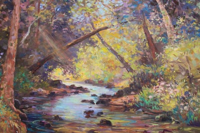 Salmon Brook by Catherine M. Elliott art print