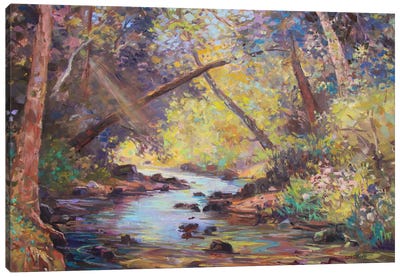 Salmon Brook Canvas Art Print - Catherine M. Elliott