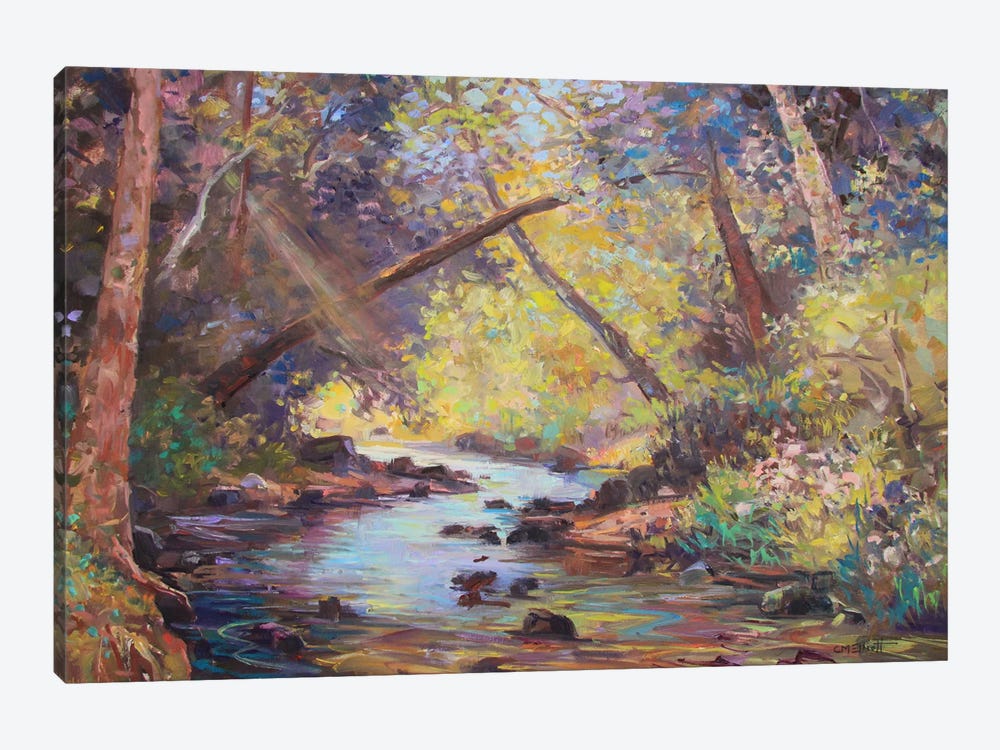 Salmon Brook by Catherine M. Elliott 1-piece Canvas Artwork