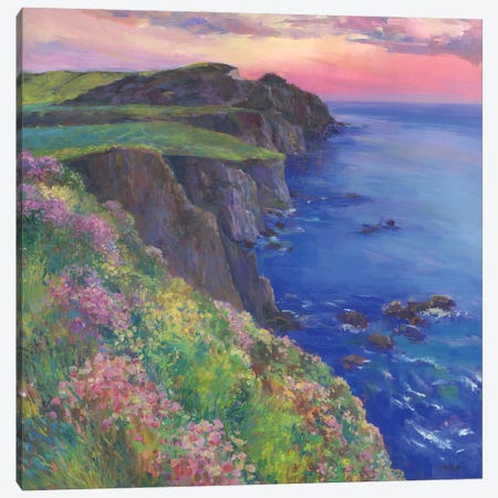 Cliffs Canvas Print #CEI5} by Catherine M. Elliott Canvas Artwork