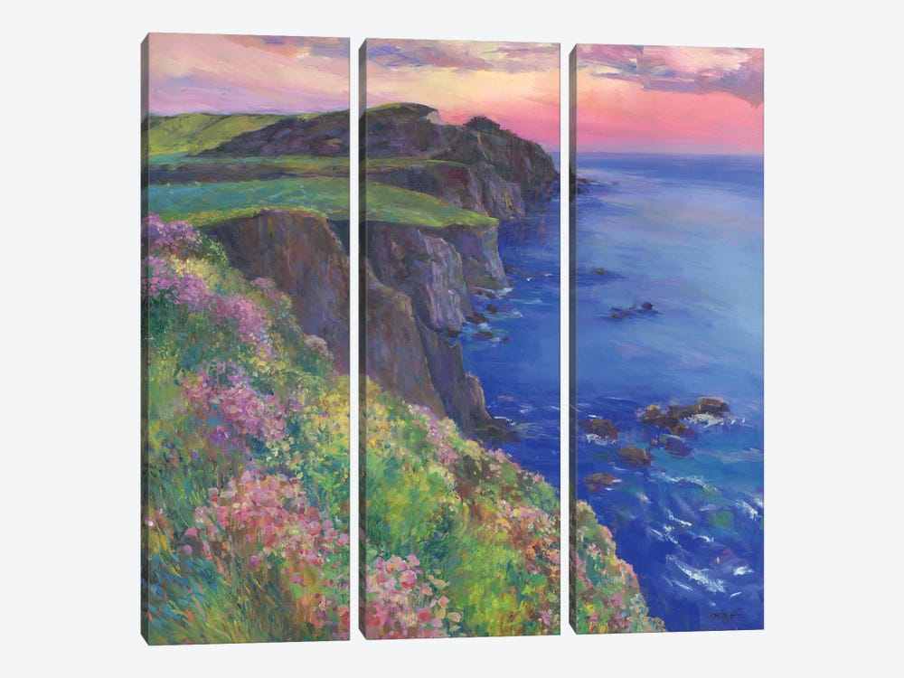 Cliffs by Catherine M. Elliott 3-piece Art Print