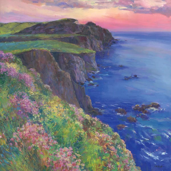 Catherine M. Elliott: Cliffs by Catherine M. Elliott