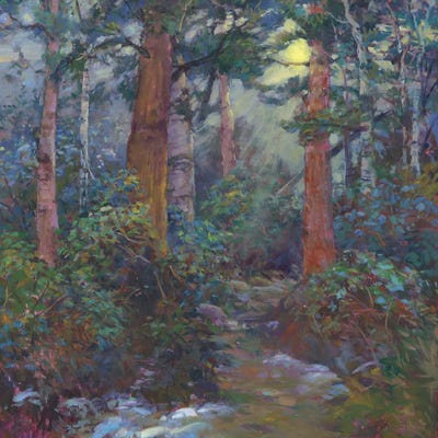 Forest Through The Trees by Catherine M. Elliott art print