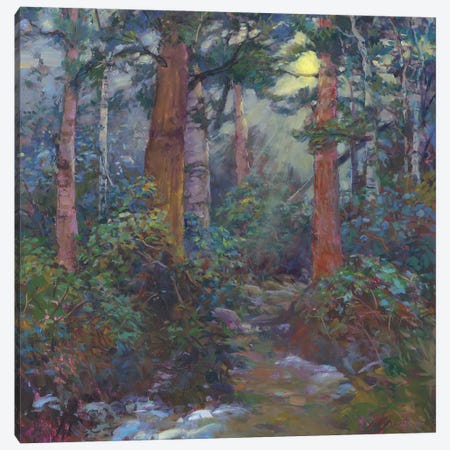 Forest Through The Trees Canvas Print #CEI8} by Catherine M. Elliott Art Print