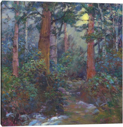 Forest Through The Trees Canvas Art Print - Catherine M. Elliott