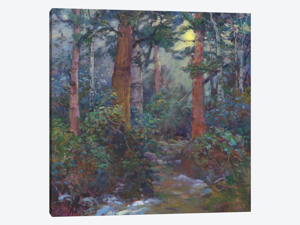 Forest Through The Trees by Catherine M. Elliott 1-piece Canvas Art