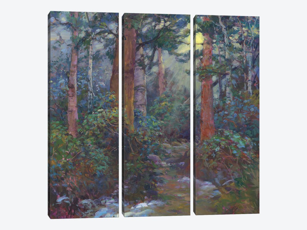 Forest Through The Trees by Catherine M. Elliott 3-piece Canvas Art