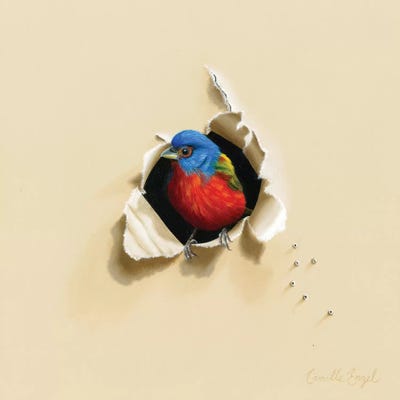 Dazzling Drop-In by Camille Engel framed wall art