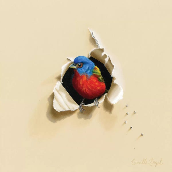 Camille Engel: Dazzling Drop-In by Camille Engel