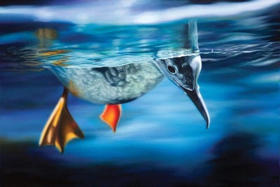 Floating Between Two Worlds by Camille Engel canvas print