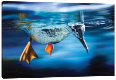 Floating Between Two Worlds Canvas Art Print - Funky Fine Art