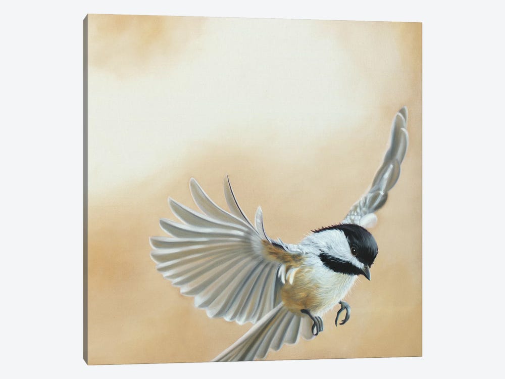 Flying High by Camille Engel 1-piece Canvas Art Print