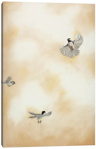 Flying High I Canvas Art Print - Camille Engel
