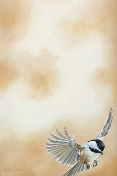 Flying High II