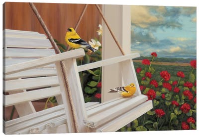 Front Perch Swingers Canvas Art Print - Finch Art