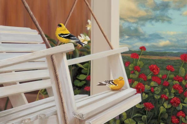 Camille Engel: Front Perch Swingers by Camille Engel