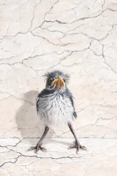 Adorable Mess