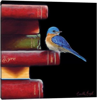 Got Book Worms?  Canvas Art Print - The Art of the Feather