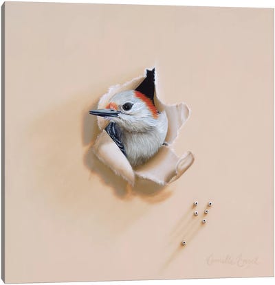 Greeting The Morning Canvas Art Print - Woodpecker Art