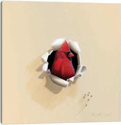 Handsome Red Head Canvas Art Print - Cardinal Art