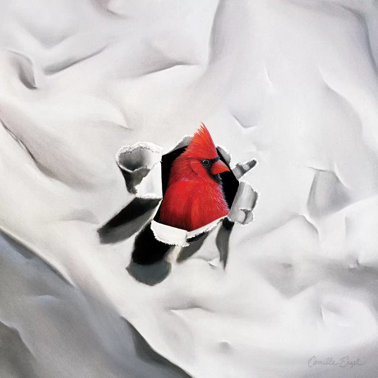 Handsome Redhead II by Camille Engel wall art