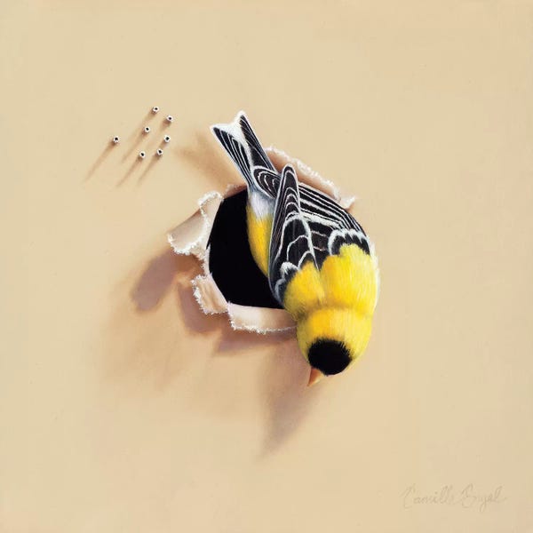 Camille Engel: Hanging Around by Camille Engel