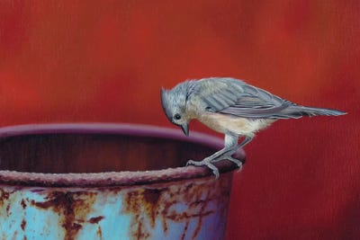 Just Curious by Camille Engel canvas print