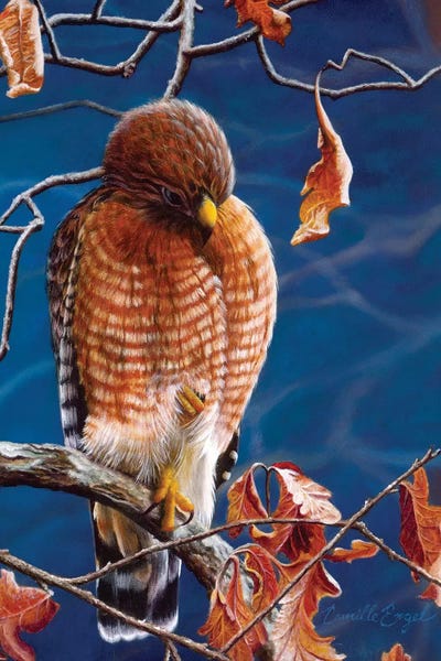 Camille Engel: Legend Of The Fall by Camille Engel