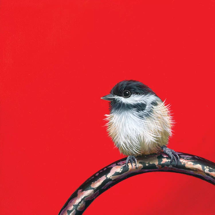 Little Chickadee II