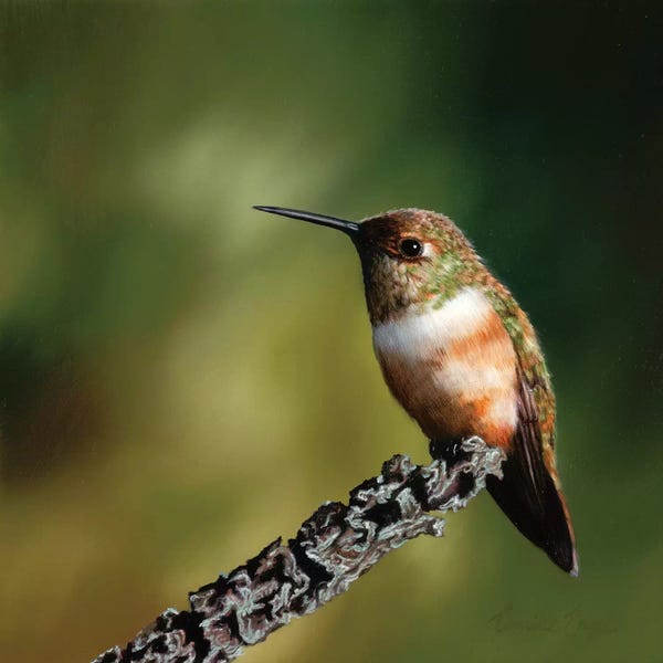 Camille Engel: Amazing Grace by Camille Engel