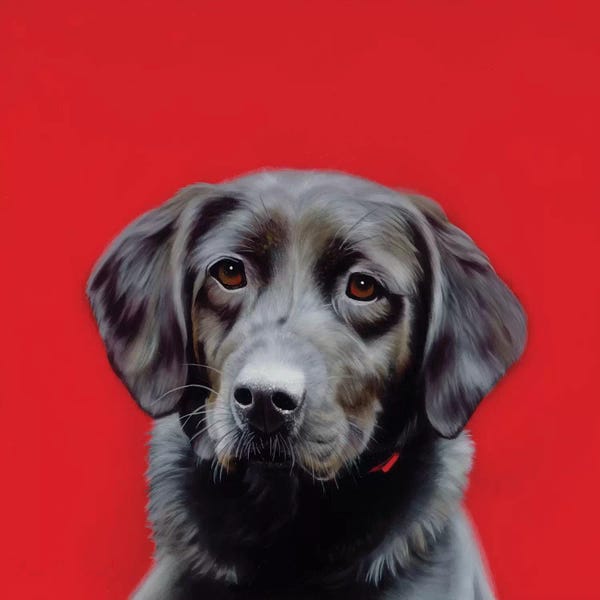 Camille Engel: Loyal Friend by Camille Engel