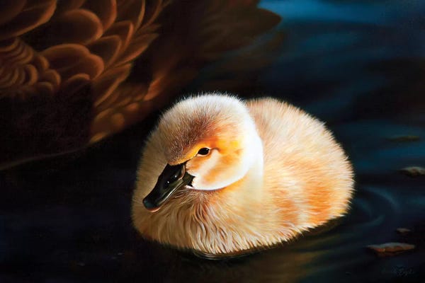 Camille Engel: Morning Glory by Camille Engel